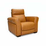 Vartan Reclining Chair