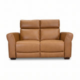Vartan Reclining Loveseat