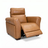 Vartan Reclining Chair